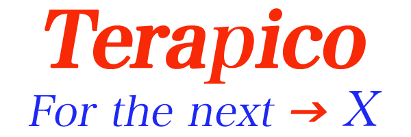 合同会社テラピコ